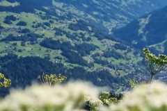 Schuhplattler-Familien-Grillfest