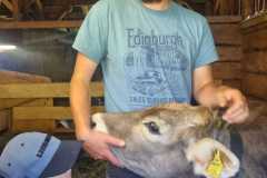 Schuhplattler-Familien-Grillfest