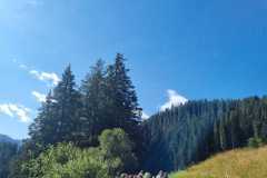 Schuhplattler-Familien-Grillfest