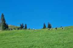 Schuhplattler-Familien-Grillfest